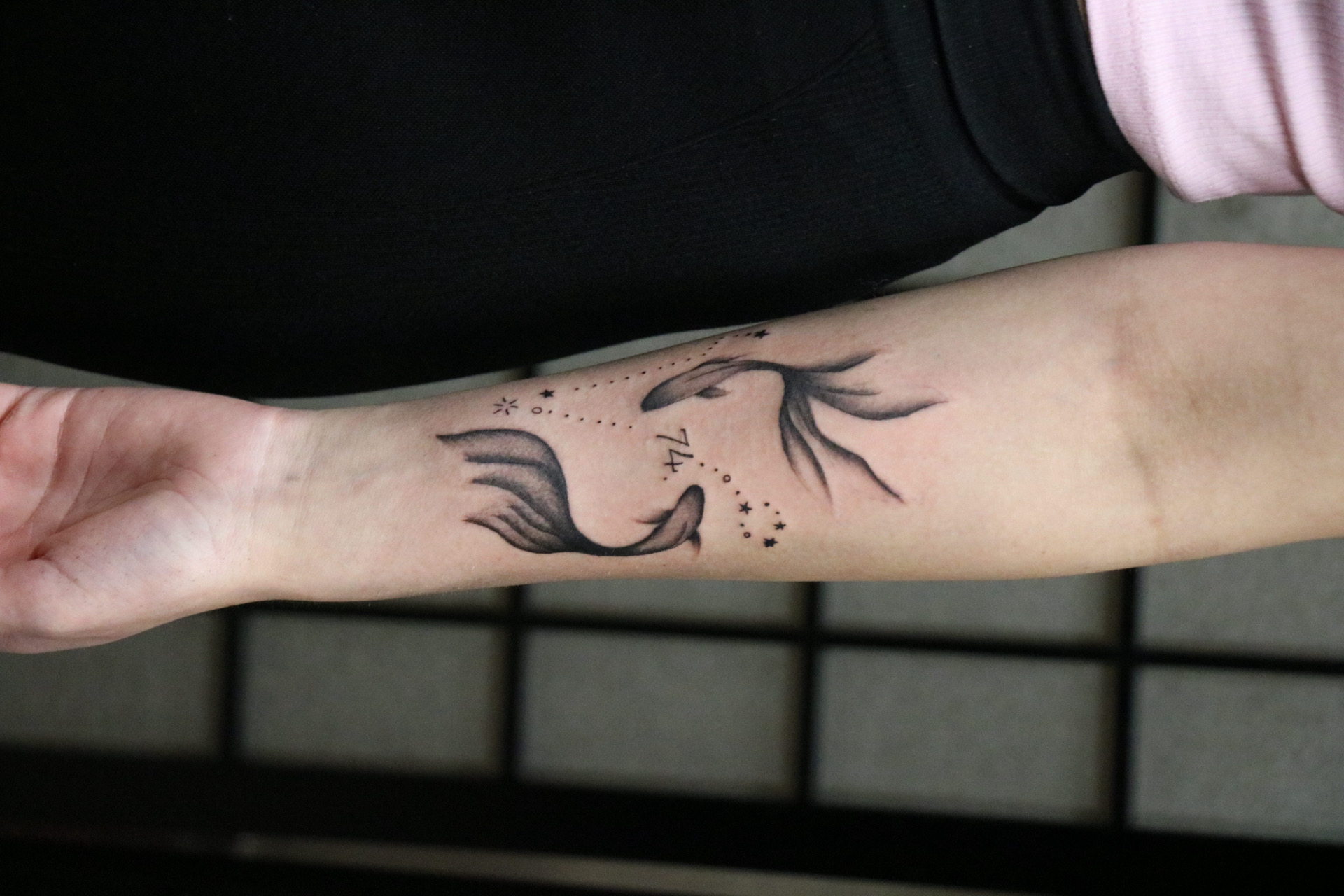 Nózi's work 7