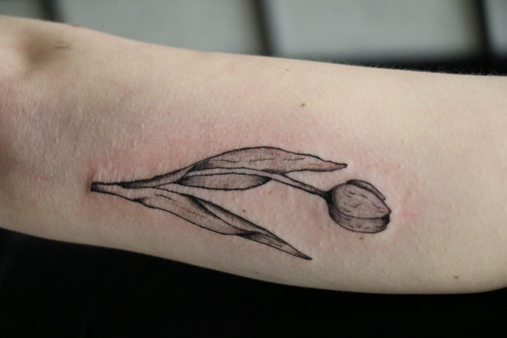 Nózi's work 8