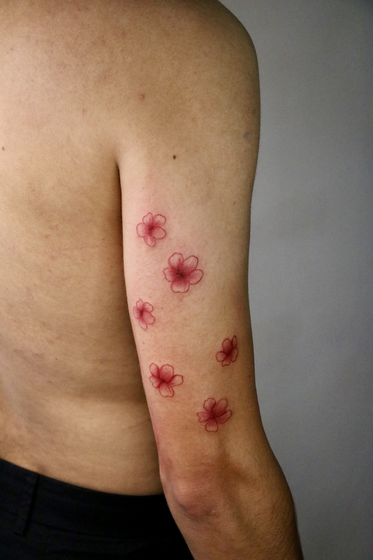 Nózi's work 5
