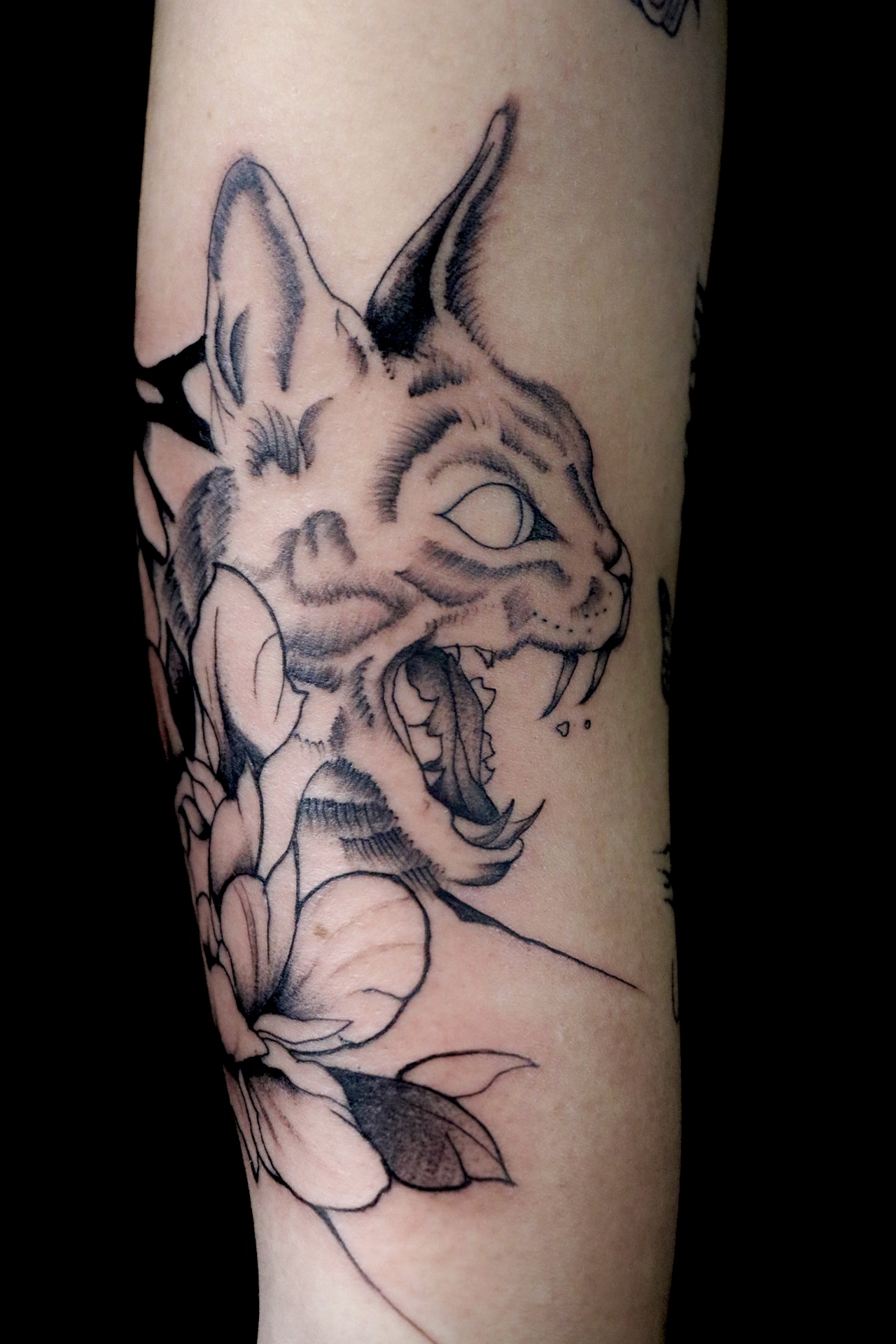 Nózi's work 3