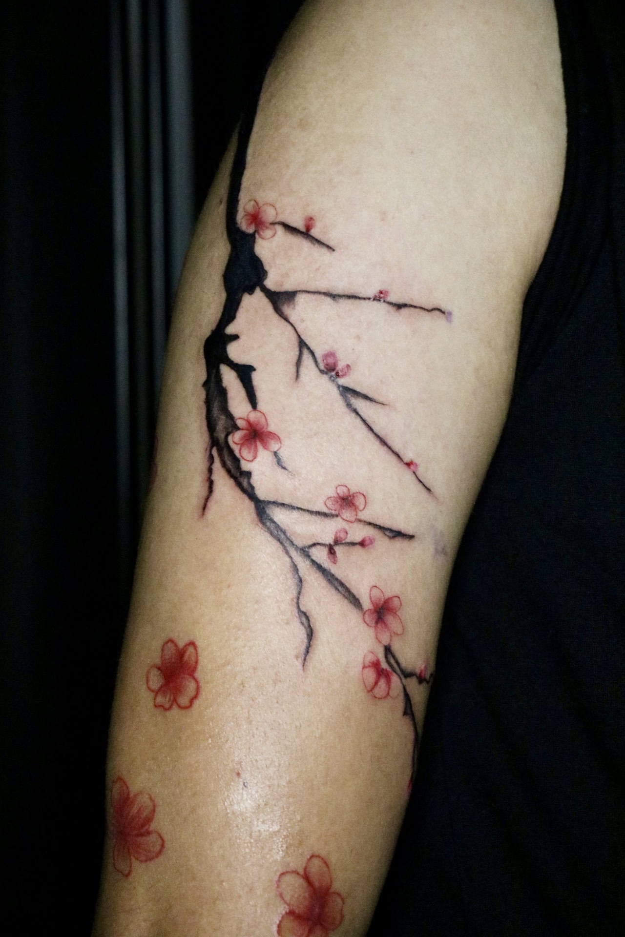 Nózi's work 6